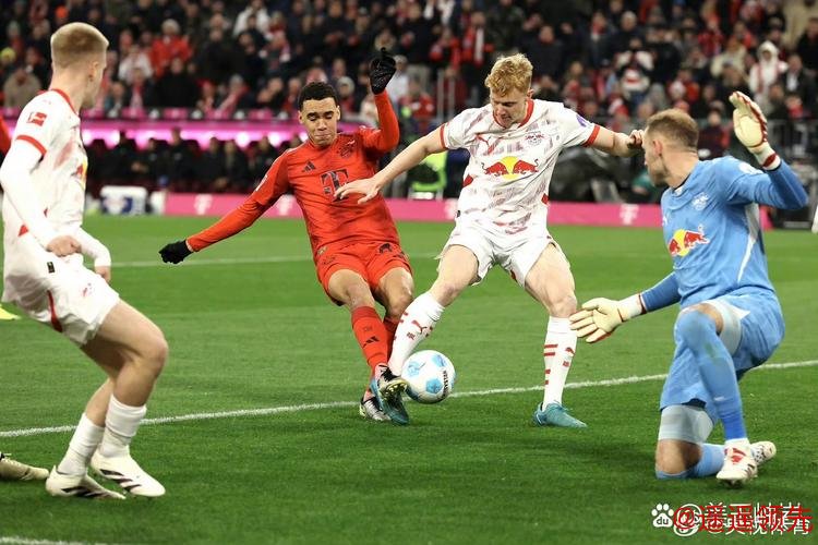 拜仁慕尼黑与门将弗吕希特尔续约至2022年