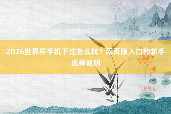 2026世界杯手机下注怎么找？网页版入口和新手选择说明